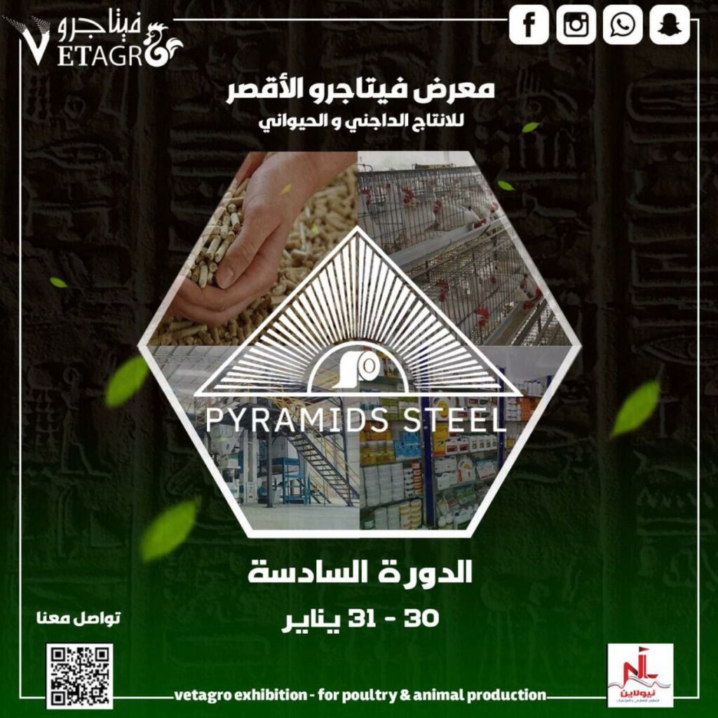 Exhibitions 3 488712382 1133128192167382 1165385195416983958 n 1